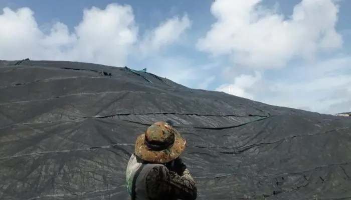 Se realizó control poblacional de Mariamulatas en San Andrés